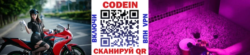 где продают наркотики  Нижнекамск  KRAKEN ссылка  Кодеин Purple Drank 